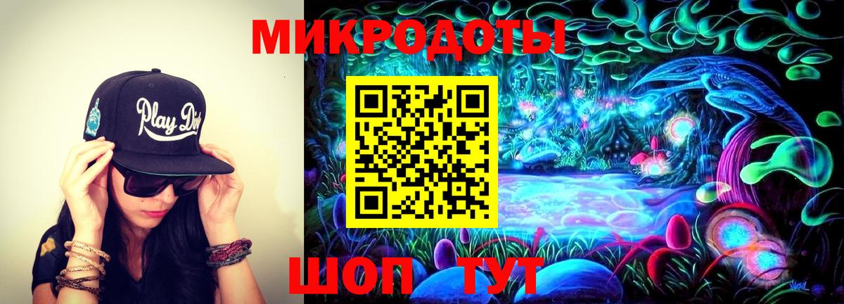 Галлюциногенные грибы Psilocybe Александров