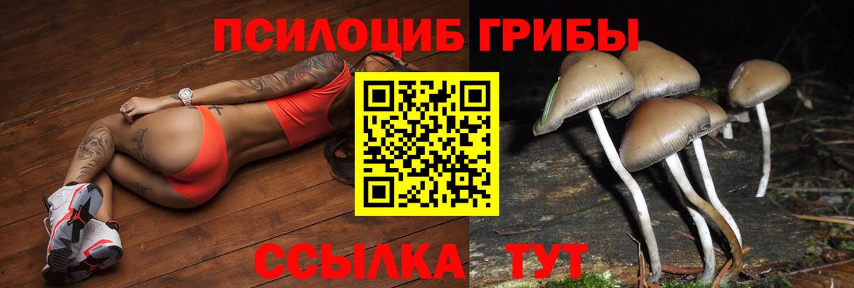 Галлюциногенные грибы мицелий  Вход с VPN  наркошоп  Александров 