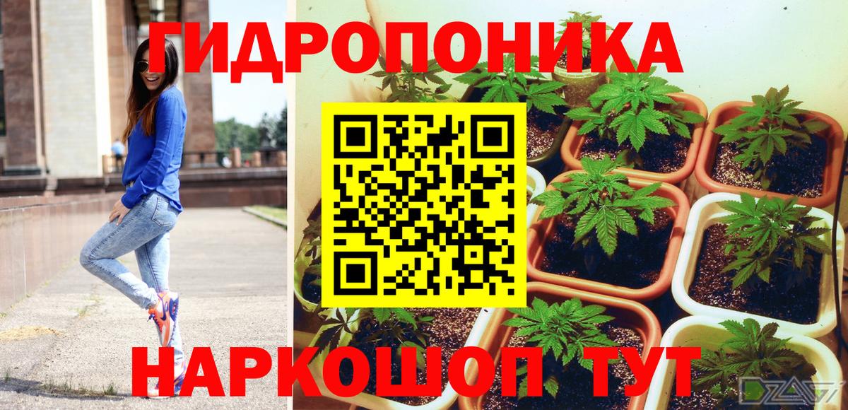 Канабис гибрид Александров